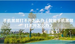 手机黑屏打不开怎么办（智能手机黑屏打不开怎么办）