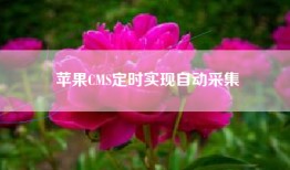 苹果CMS定时实现自动采集