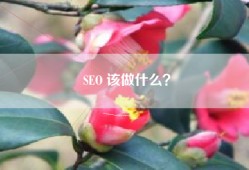 SEO 该做什么？
