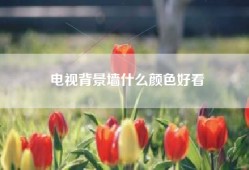 电视背景墙什么颜色好看