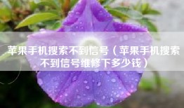 苹果手机搜索不到信号（苹果手机搜索不到信号维修下多少钱）