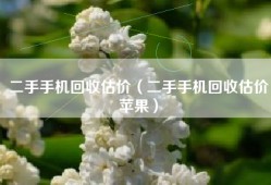 二手手机回收估价（二手手机回收估价苹果）