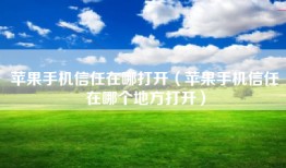 苹果手机信任在哪打开（苹果手机信任在哪个地方打开）