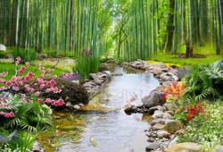 云南旅行必备清单：一站式打包攻略，轻松应对高原风情和多元文化