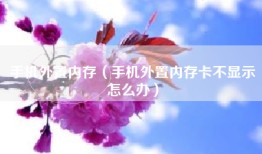 手机外置内存（手机外置内存卡不显示怎么办）