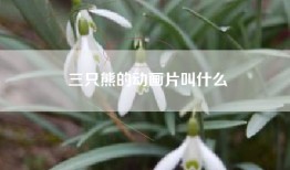 三只熊的动画片叫什么
