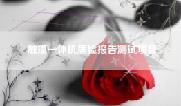 触摸一体机质检报告测试项目