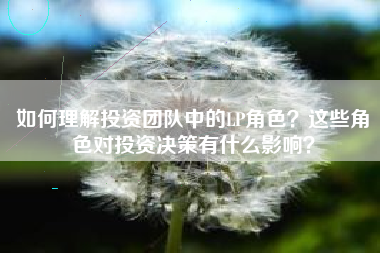 如何理解投资团队中的LP角色？这些角色对投资决策有什么影响？