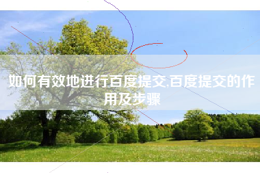 如何有效地进行百度提交,百度提交的作用及步骤