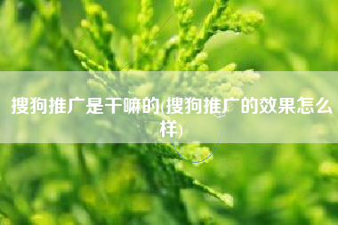 搜狗推广是干嘛的(搜狗推广的效果怎么样)