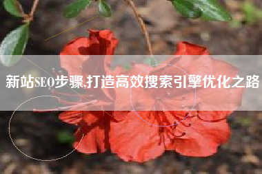 新站SEO步骤,打造高效搜索引擎优化之路