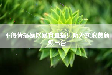 不得传播暴饮暴食直播！防外卖浪费新规出台