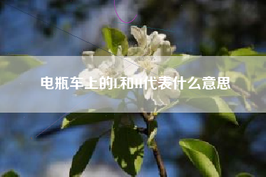 电瓶车上的L和H代表什么意思