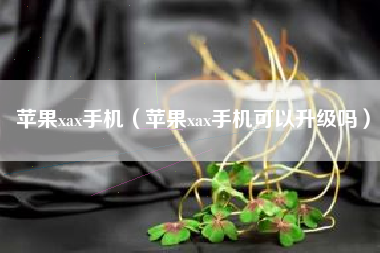 苹果xax手机（苹果xax手机可以升级吗）