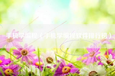手机学编程（手机学编程软件排行榜）