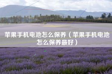 苹果手机电池怎么保养（苹果手机电池怎么保养最好）