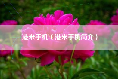 港米手机（港米手机简介）