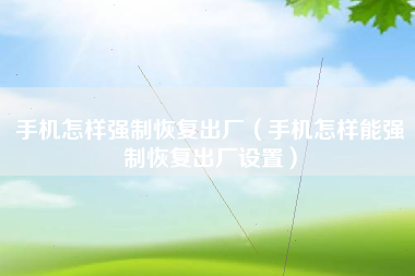 手机怎样强制恢复出厂（手机怎样能强制恢复出厂设置）