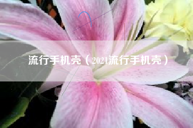 流行手机壳（2021流行手机壳）