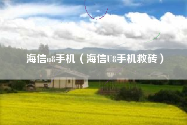 海信u8手机（海信U8手机救砖）