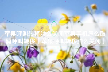 苹果呼叫转移肿么关闭苹果手机怎么取消呼叫转移「苹果呼叫转移肿么关闭」