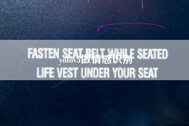 yolov5做情感识别