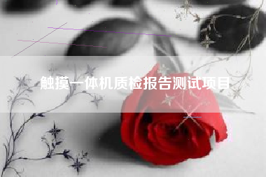 触摸一体机质检报告测试项目