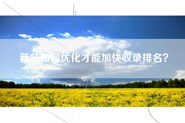 新站如何优化才能加快收录排名？